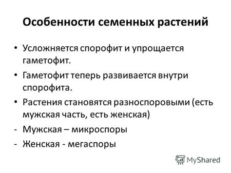 Широкое распространение семенных растений в природе