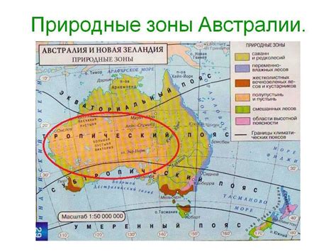 Эволюционные особенности австралийской природы