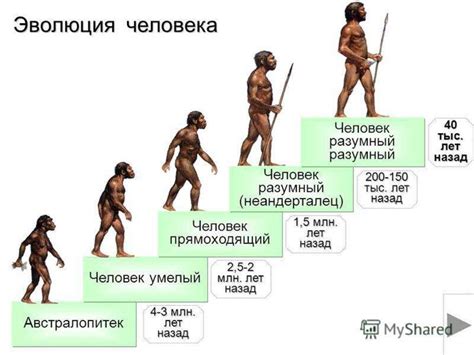 Эволюция человека и его средств выживания