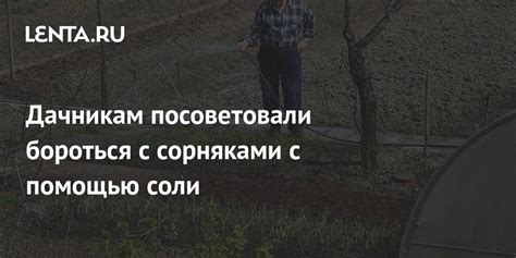 Экологическая безопасность соли для борьбы с сорняками