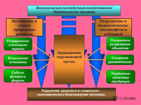 Экологические последствия запрета