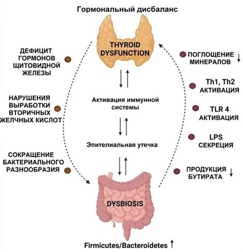 Экскреторная дисфункция щитовидной железы