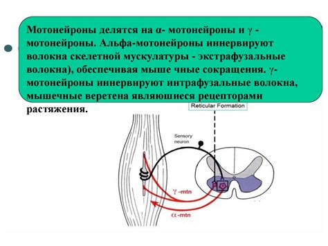 Эмоциональное возбуждение и нервозность