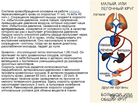 Эффект стимуляции кровообращения