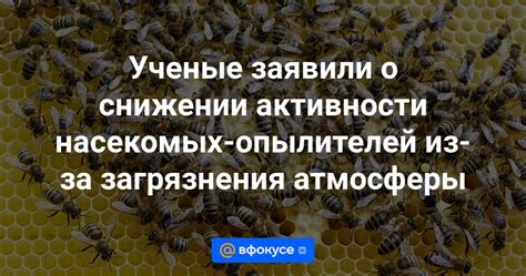 Январь - март: период минимальной активности насекомых