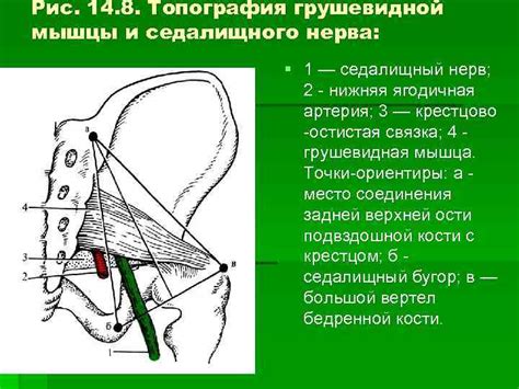  Блокада может вызвать осложнения 