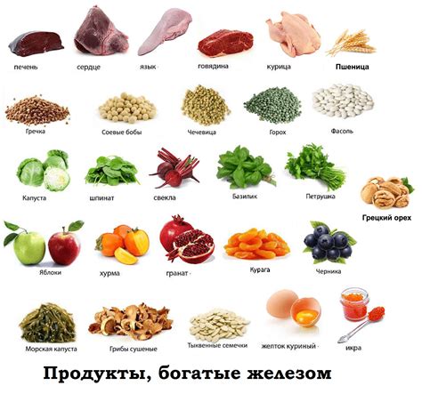  Какие продукты обычно называют "сырками" 