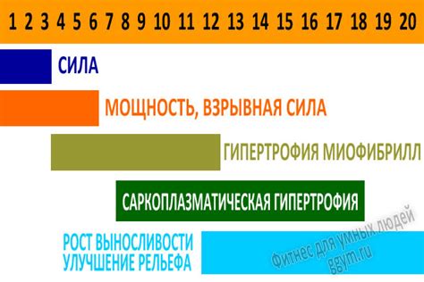  Как определить число повторений в упражнениях? 