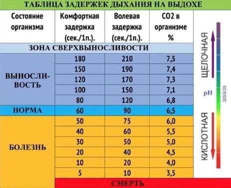  Почему возникает задержка дыхания? 