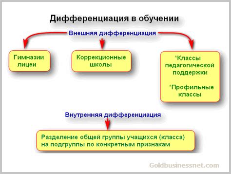  Процесс эволюции и необходимость в дифференциации 