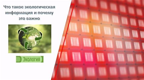  Россия и экологическая безопасность: почему это важно? 