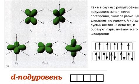 F-подуровень: 14 электронов